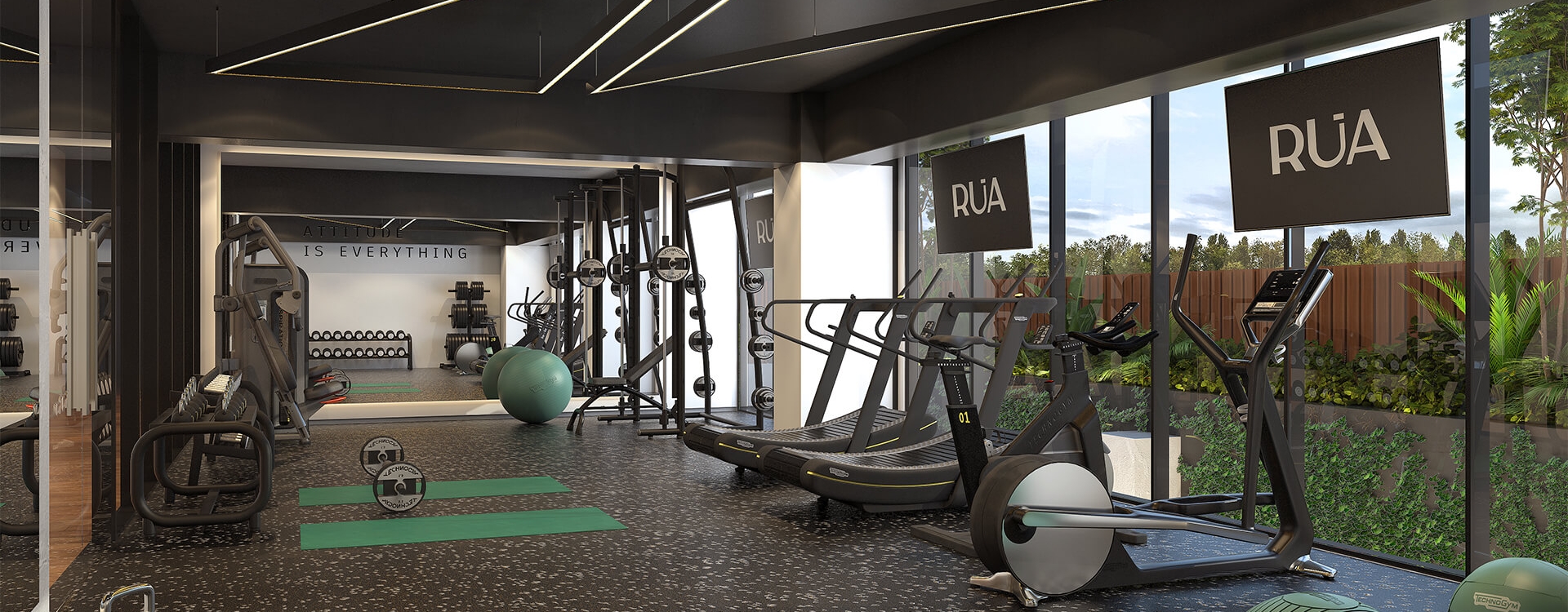 Gimnasio.jpg